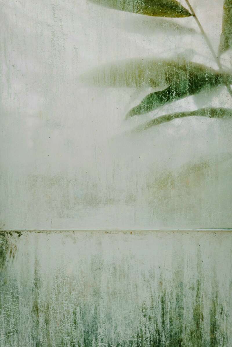 thom-milkovic-cbs0qkjm-p4-unsplash
