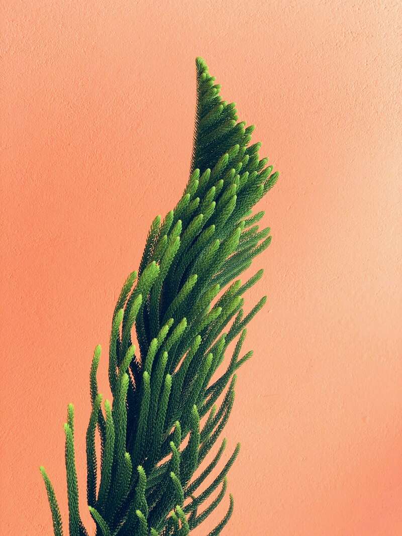 caleb-george-5sf6nrb1meg-unsplash
