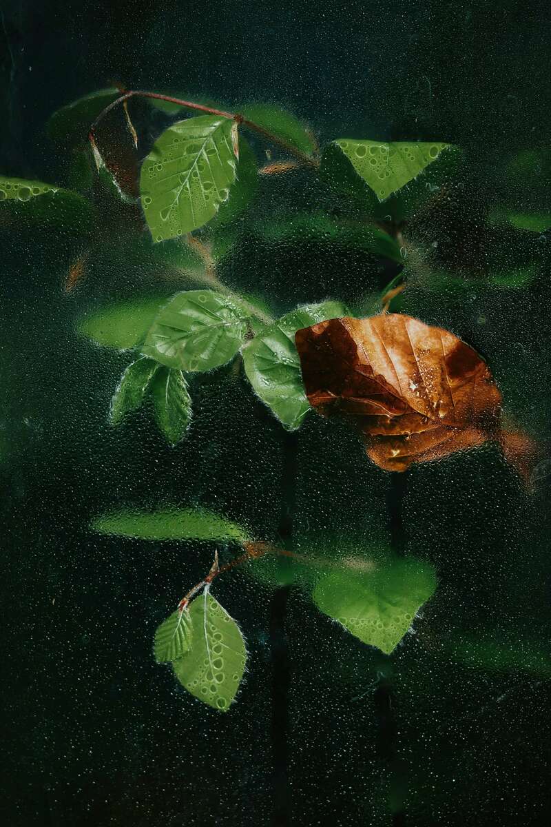 tamas-tokos-ou8-_71qigc-unsplash
